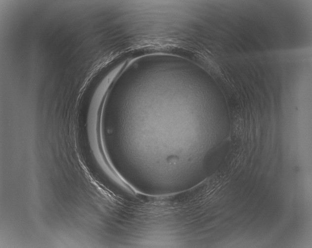 X0000051240736200507011625