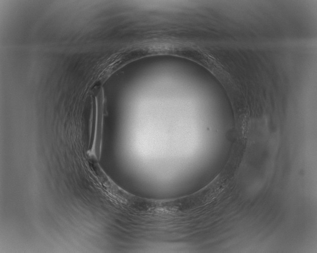 X0000051240737200507011625