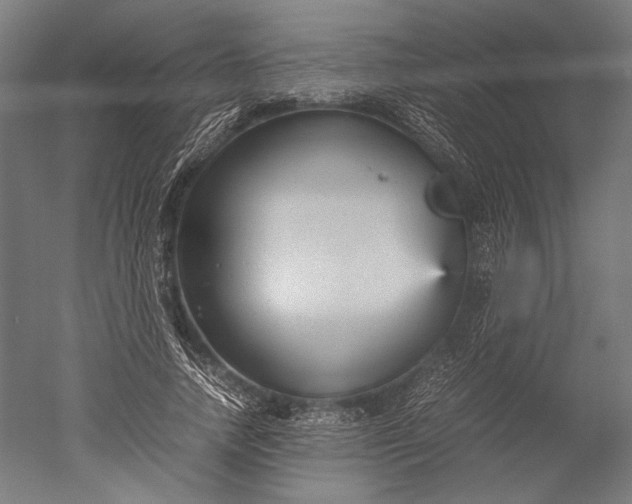 X0000051240738200507011625