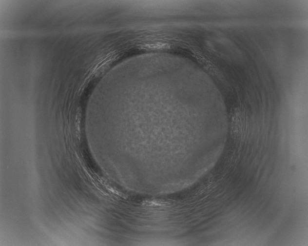 X0000051240739200507011625