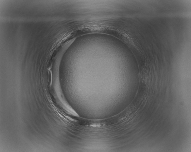 X0000051240740200507011625