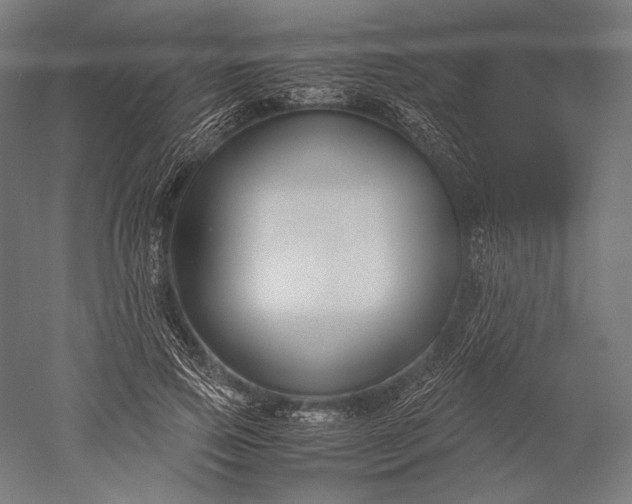 X0000051240741200507011625