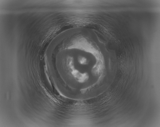 X0000051240742200507011625