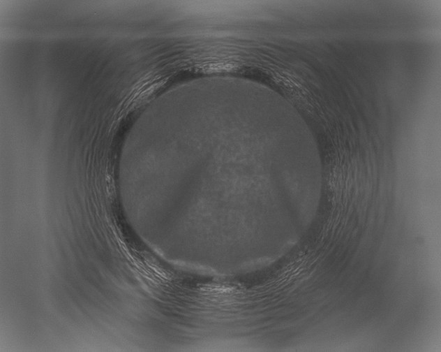 X0000051240743200507011625