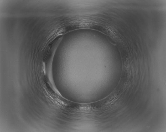 X0000051240744200507011625