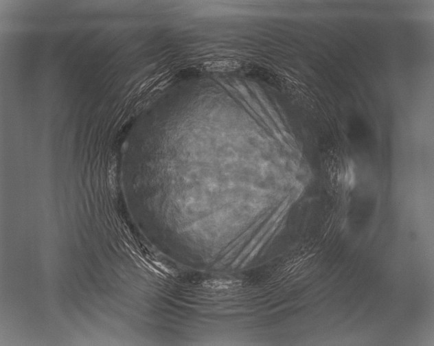 X0000051240745200507011625