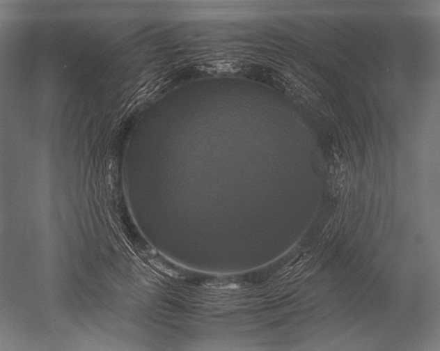 X0000051240747200507011625