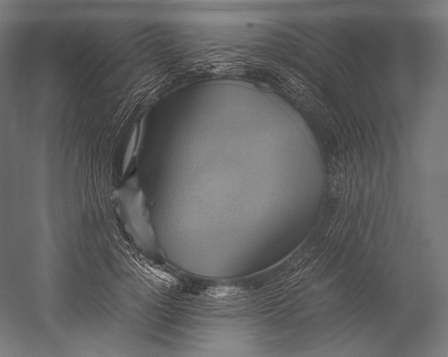 X0000051240748200507011625