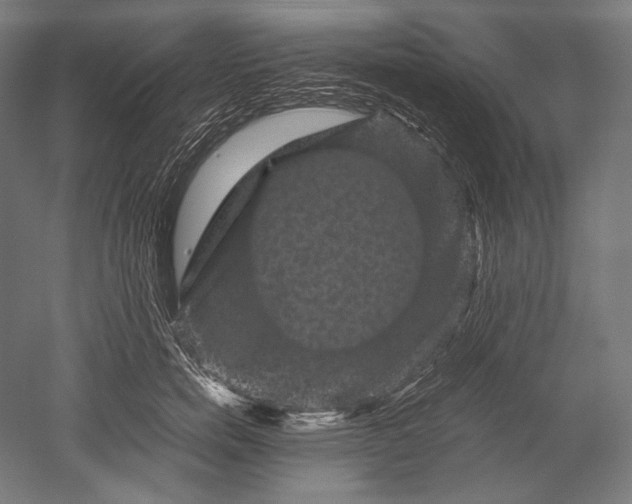 X0000051240750200507011626