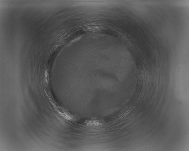 X0000051240751200507011626