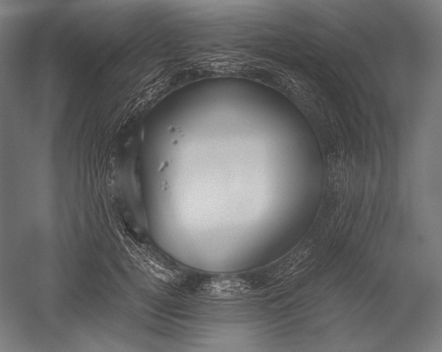 X0000051240752200507011626