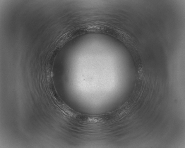 X0000051240753200507011626