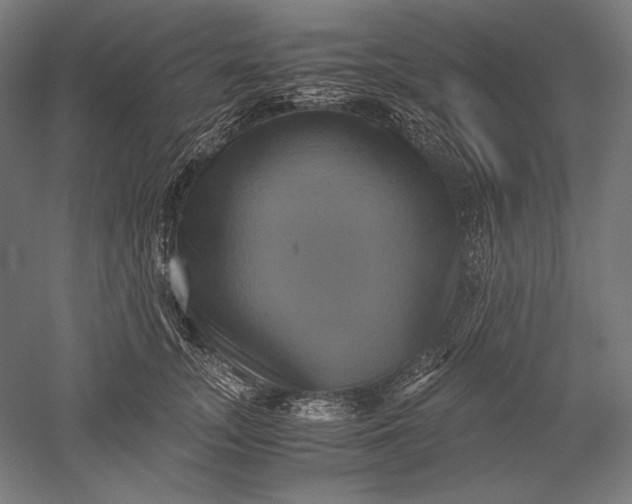 X0000051240755200507011626