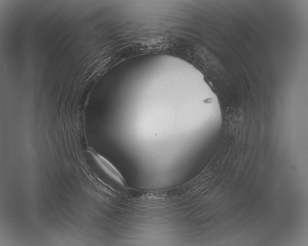 X0000051240756200507011626