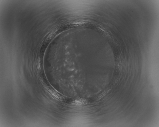 X0000051240758200507011626