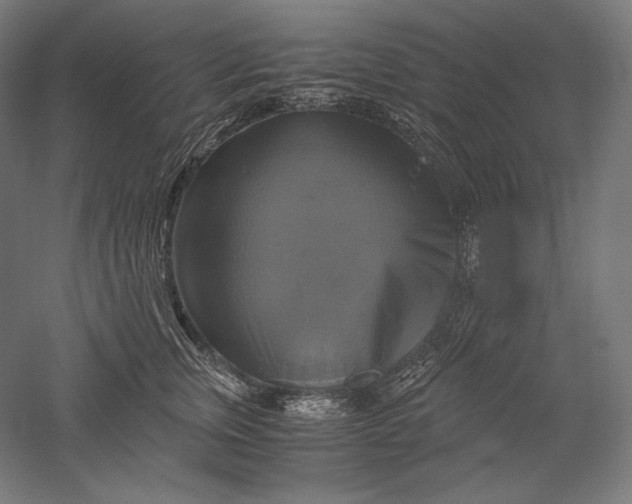 X0000051240759200507011626