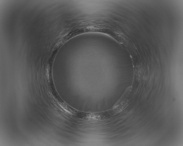 X0000051240760200507011626