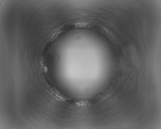 X0000051240761200507011626