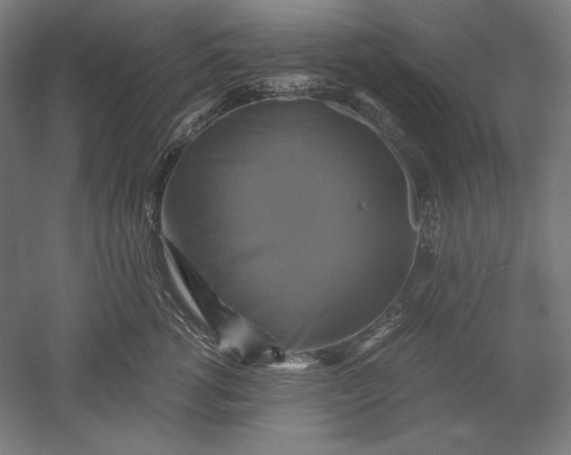 X0000051240762200507011626