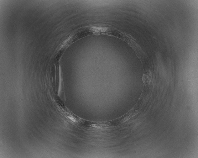 X0000051240763200507011626