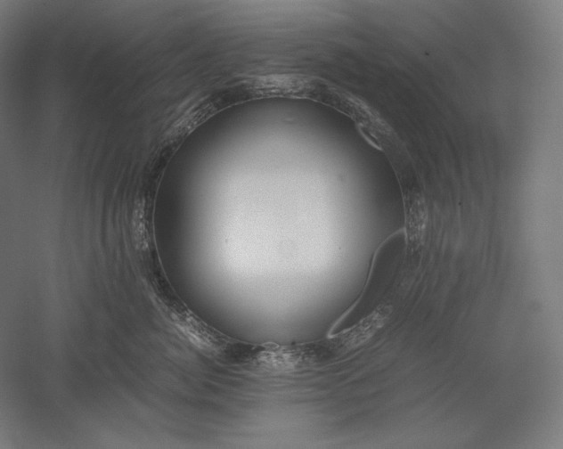 X0000051240764200507011626