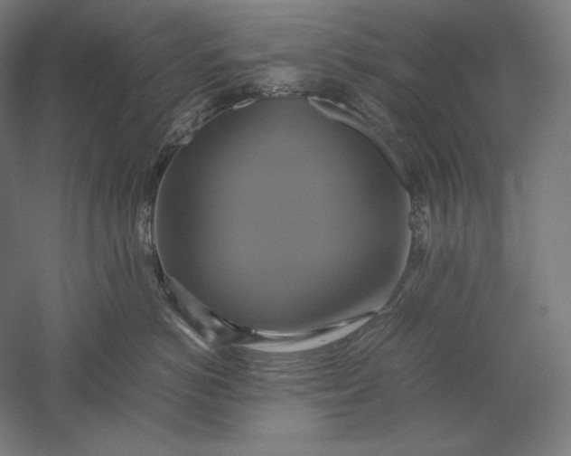 X0000051240766200507011626