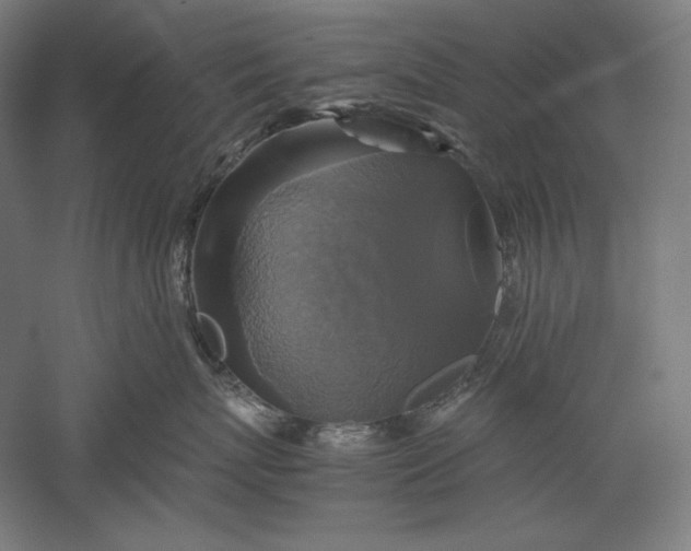 X0000051240767200507011626