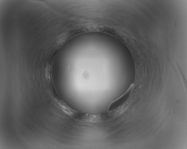 X0000051240768200507011626