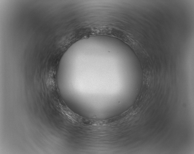 X0000051240770200507011625