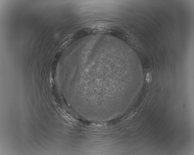 X0000051240771200507011625