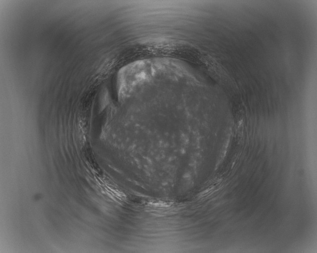 X0000051240772200507011625