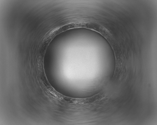 X0000051240773200507011625