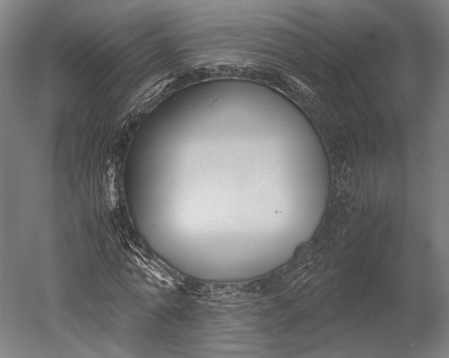 X0000051240774200507011625