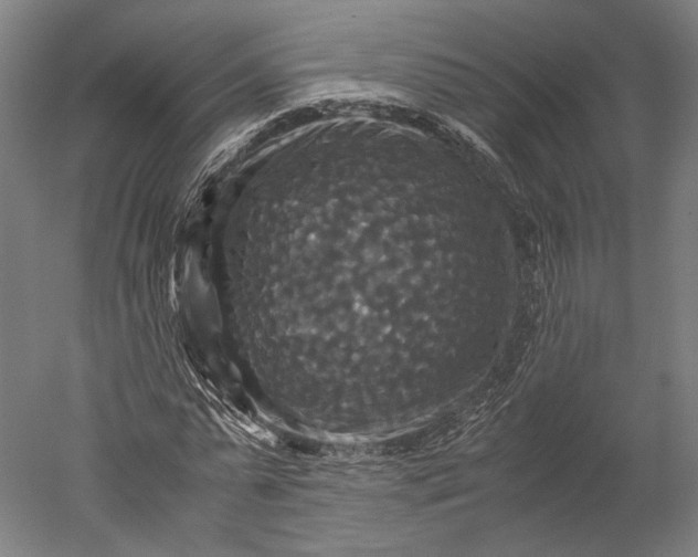 X0000051240775200507011625