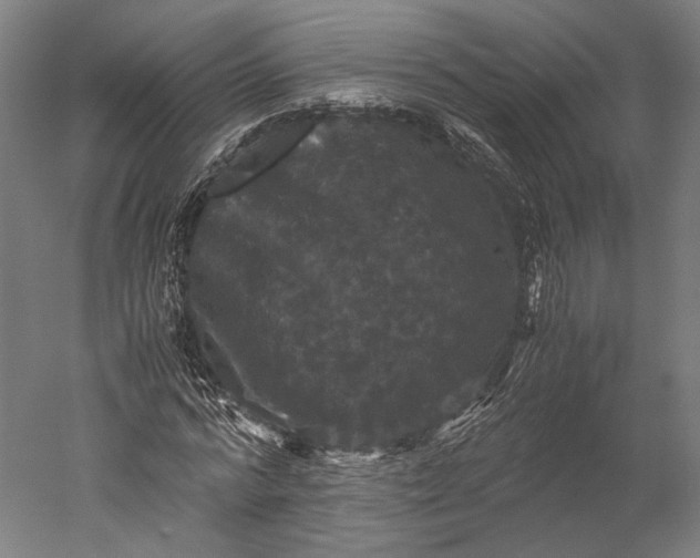 X0000051240776200507011625