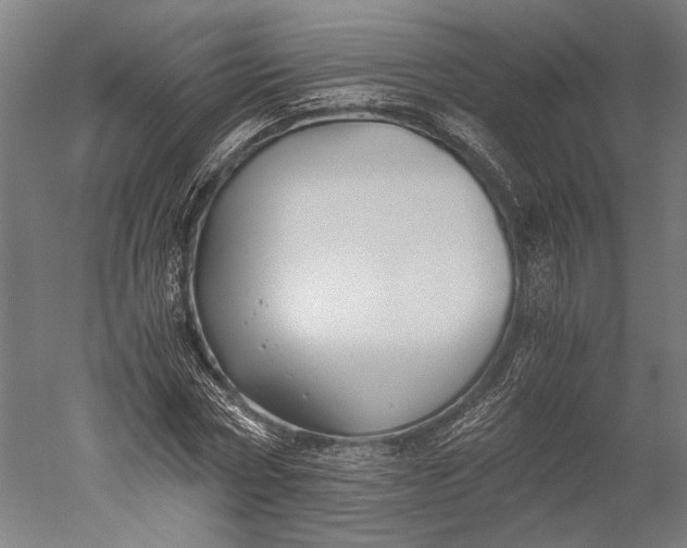 X0000051240778200507011625