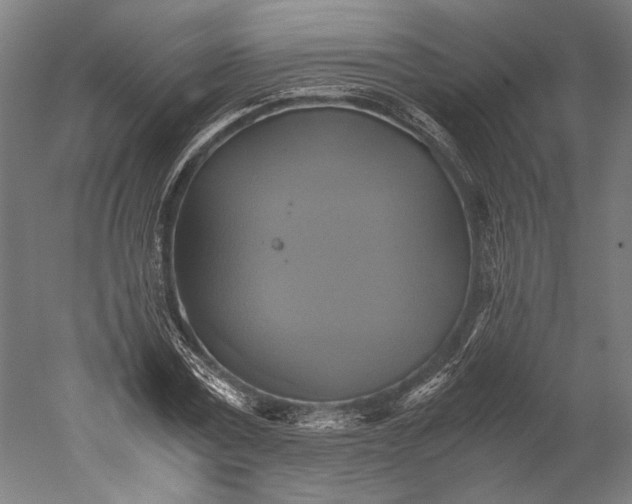 X0000051240779200507011625