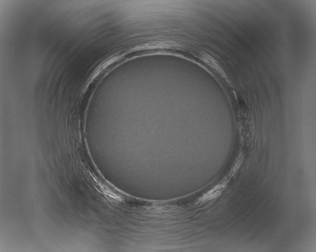 X0000051240781200507011625