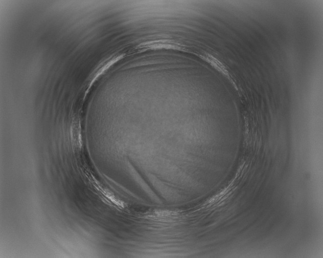 X0000051240782200507011625