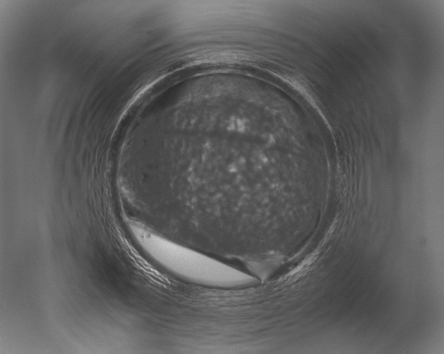 X0000051240783200507011625