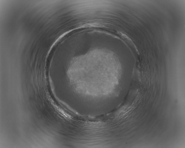 X0000051240784200507011625