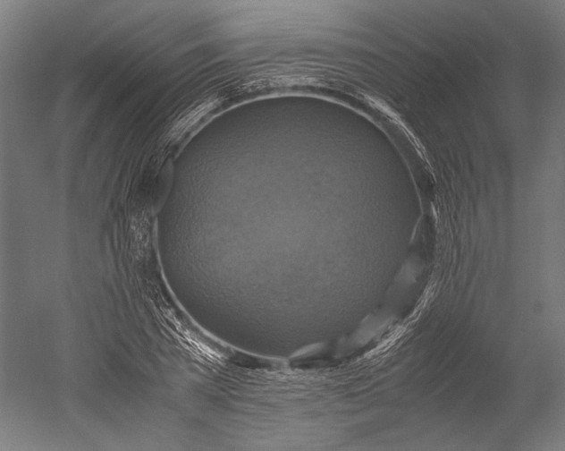 X0000051240785200507011625