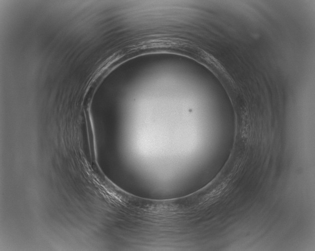 X0000051240786200507011625