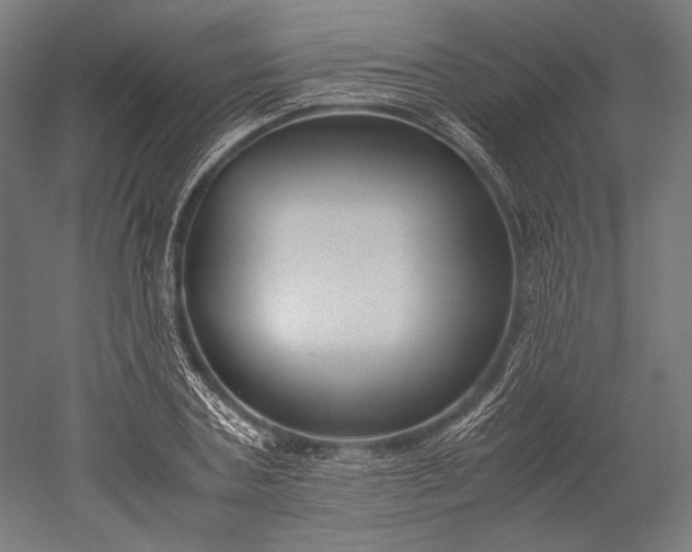 X0000051240787200507011625