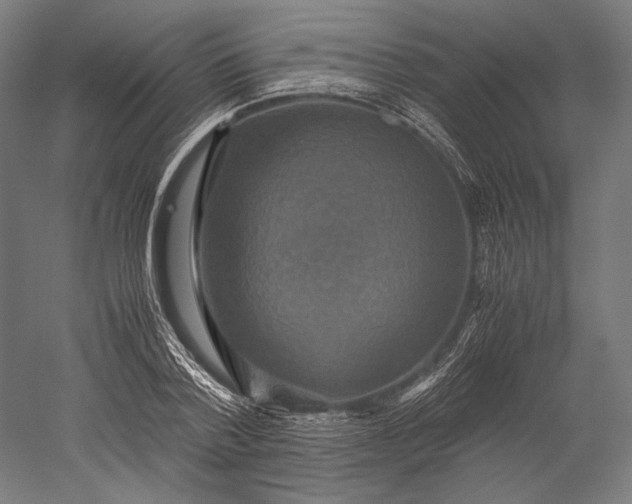 X0000051240788200507011625