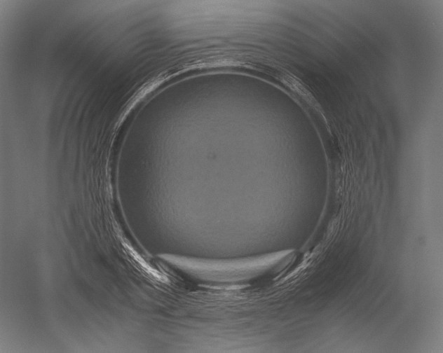 X0000051240789200507011625