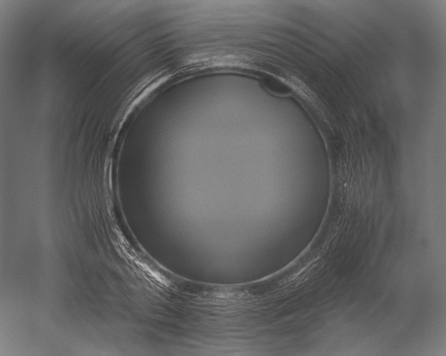 X0000051240790200507011625