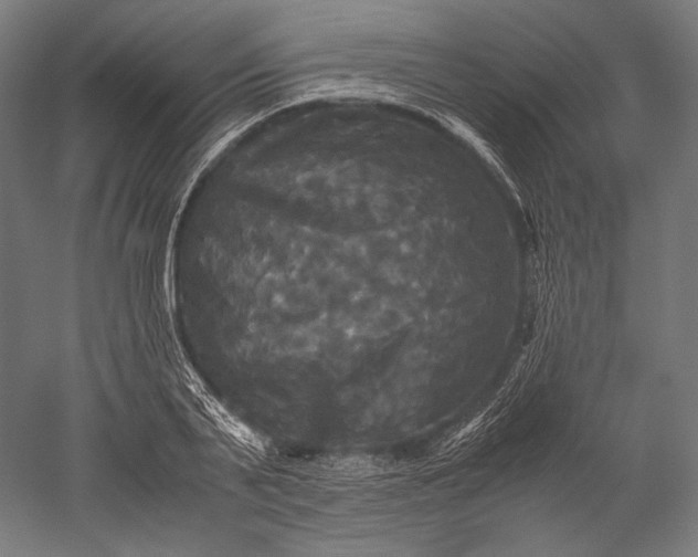 X0000051240791200507011625