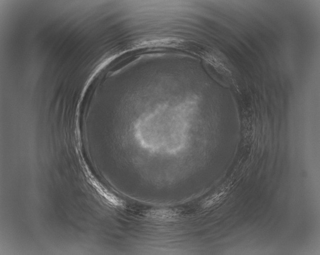 X0000051240792200507011625