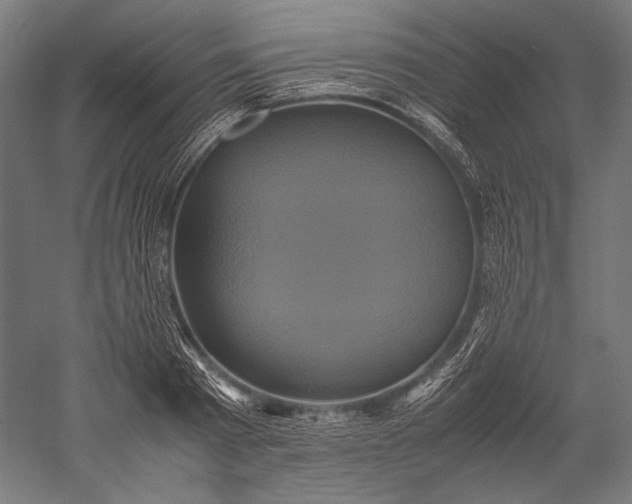 X0000051240793200507011625